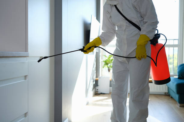 Best Mold Testing and Inspection Services in Laware City, DE